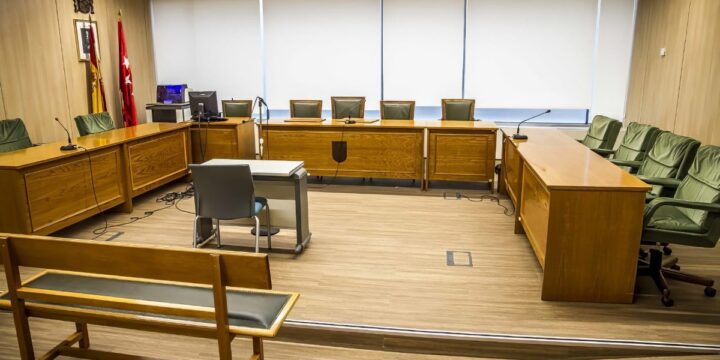 ¿Qué es una audiencia previa?